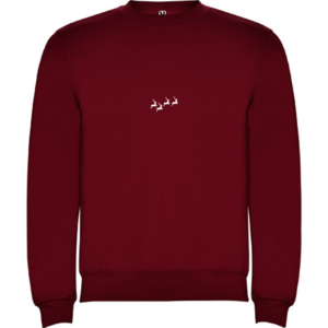 Sudadera Navidad Renos Icon